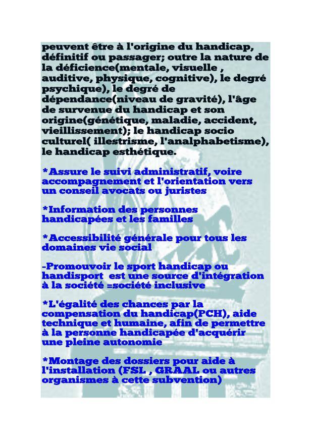 BUT ASSOCIATIVE HANDIDEFENCE STATUT 2